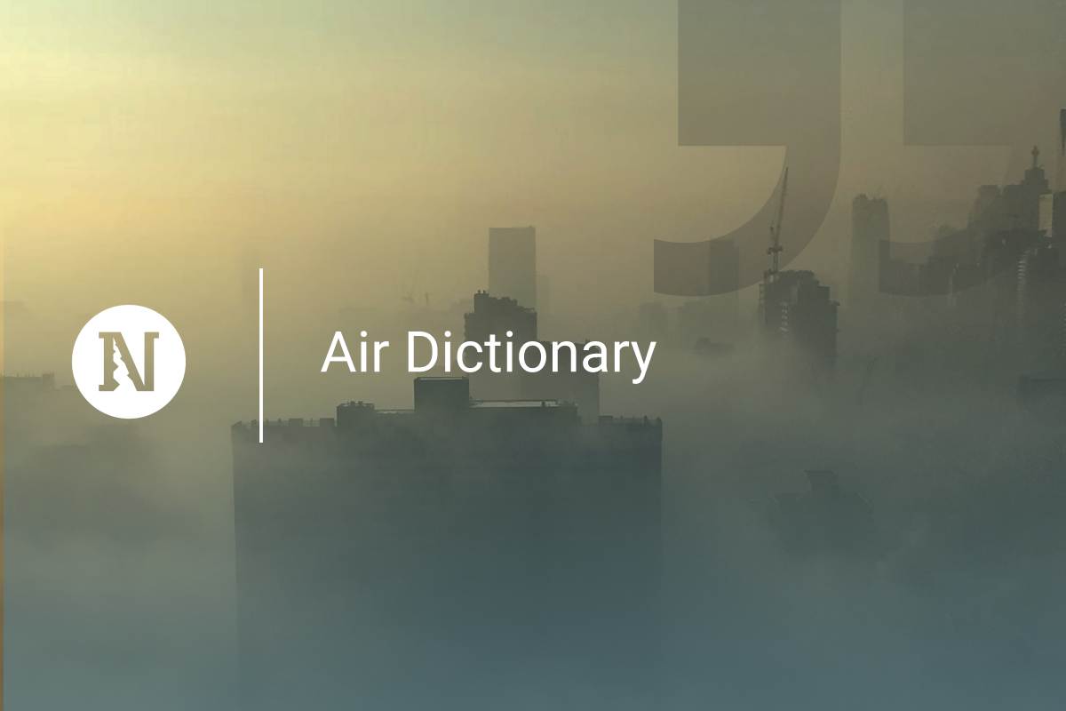 Air Dictionary: PARTICOLATO